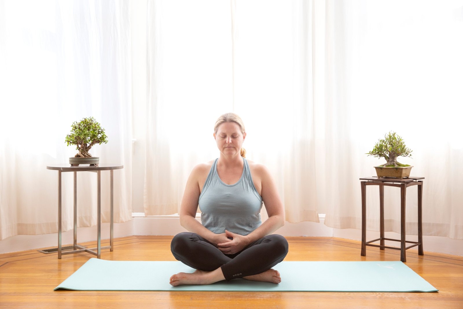 Bonsaify | Establishing a Mindful Bonsai Practice