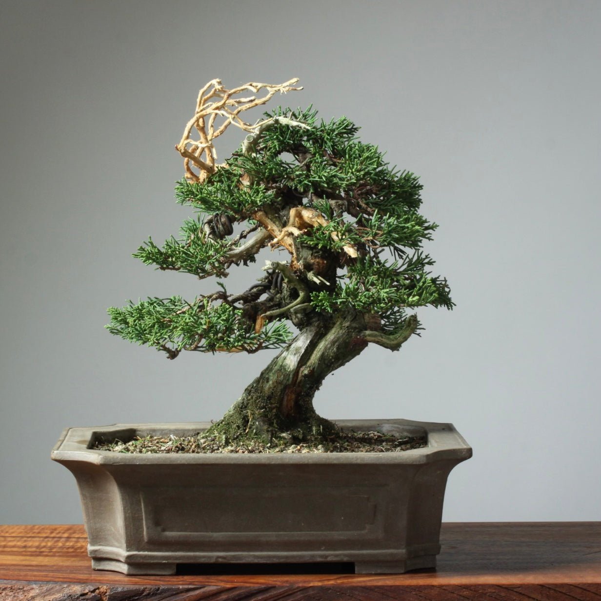 Seasonal care and overwintering