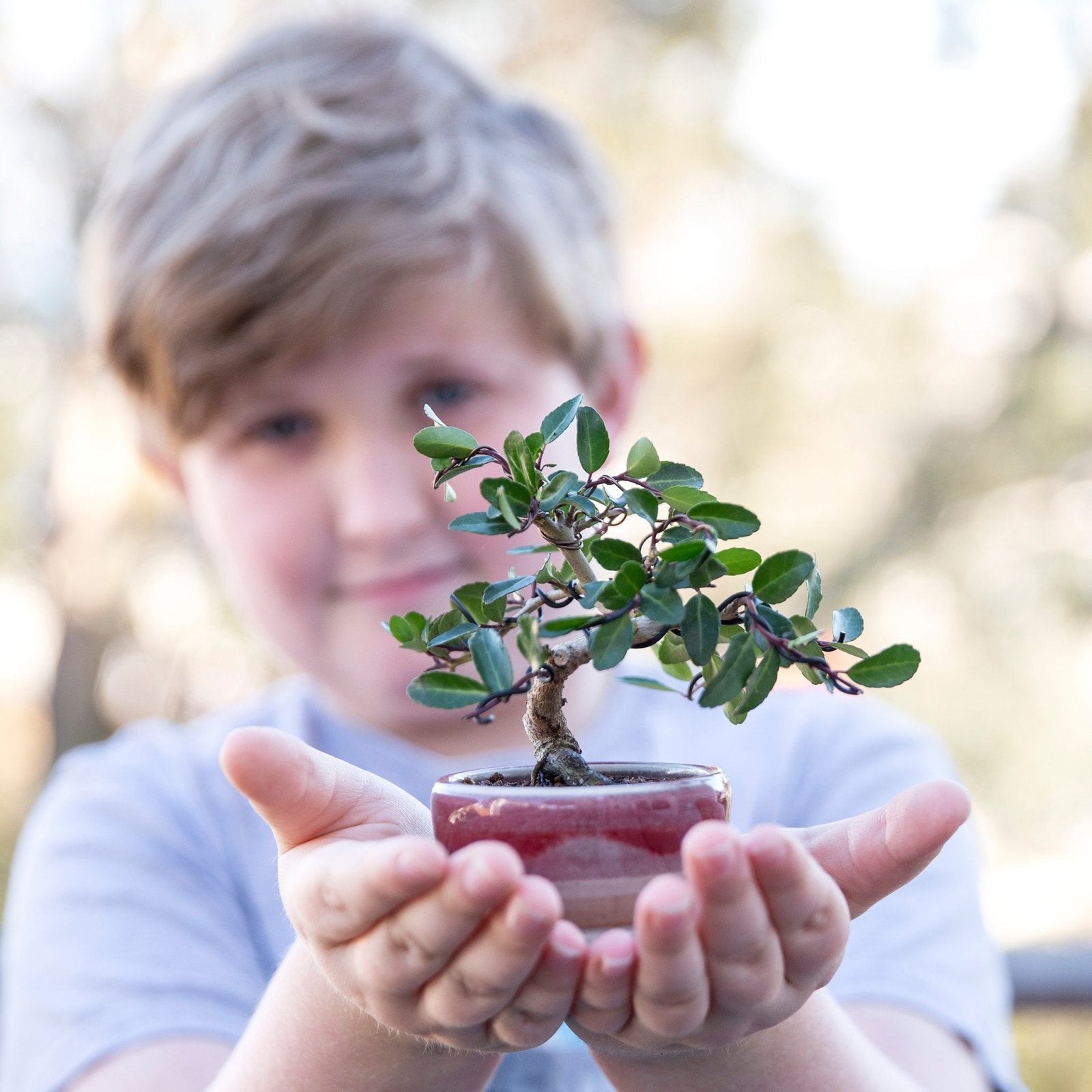 Bonsaify | Is Bonsai a Good Hobby for Children?