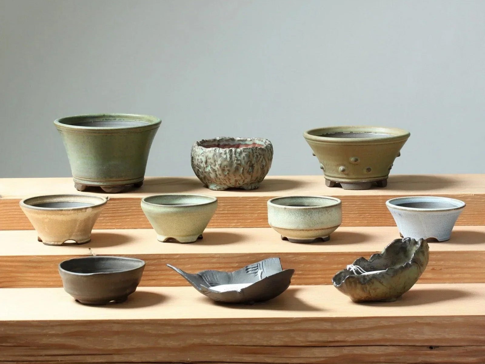 Bonsaify | Bonsai Ceramics