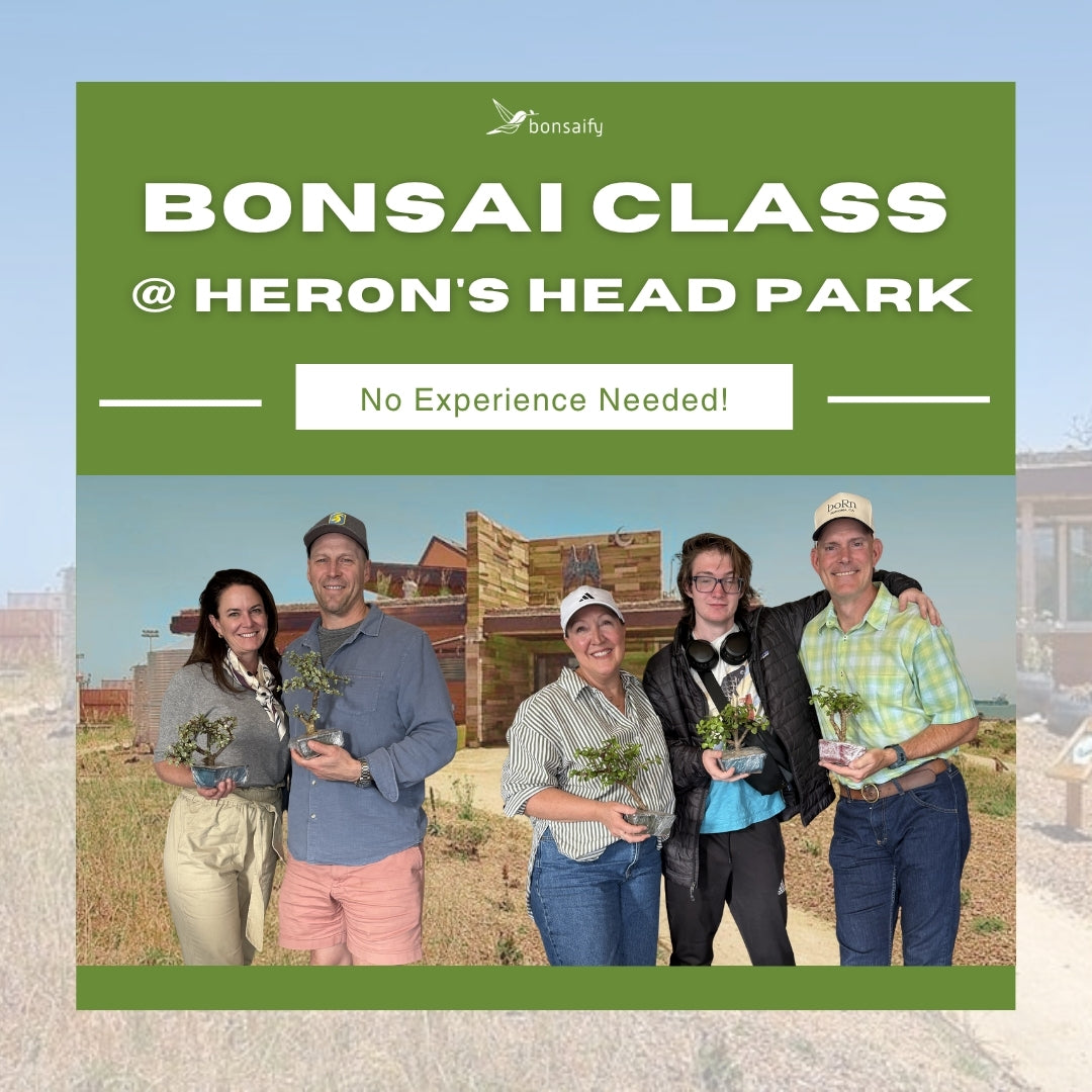 bonsai media group Bonsai Classes at Heron Head's Park EcoCenter – Bonsaify