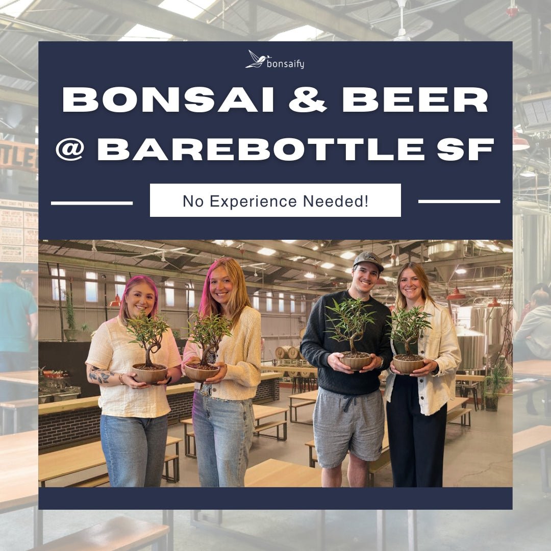 bonsai tree brewery Bonsai Classes at Barebottle Brewing