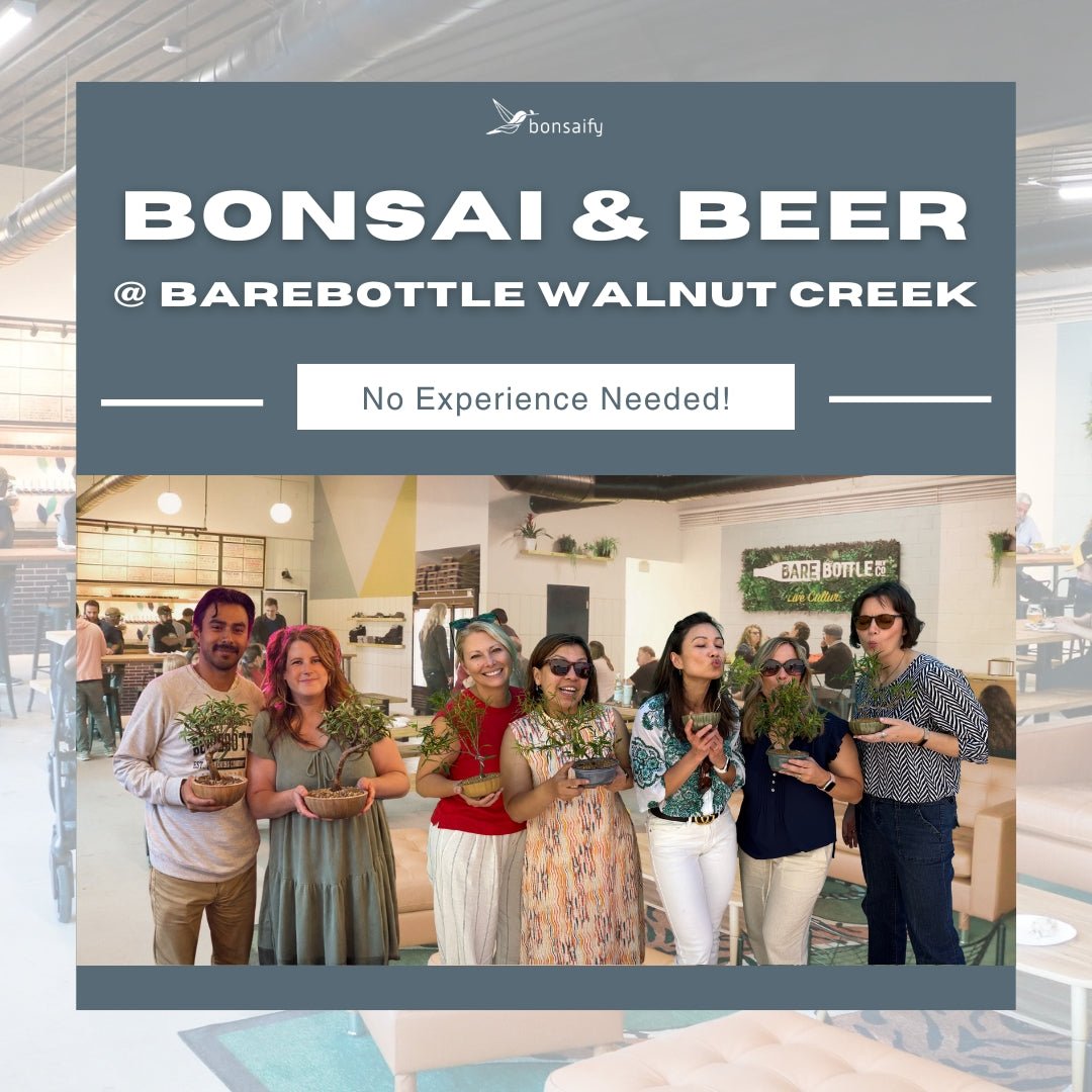 Bonsai Classes at Barebottle Brewing Co. (Walnut Creek)