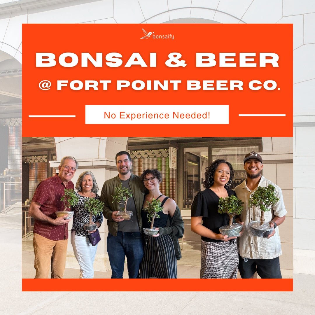 Bonsaify