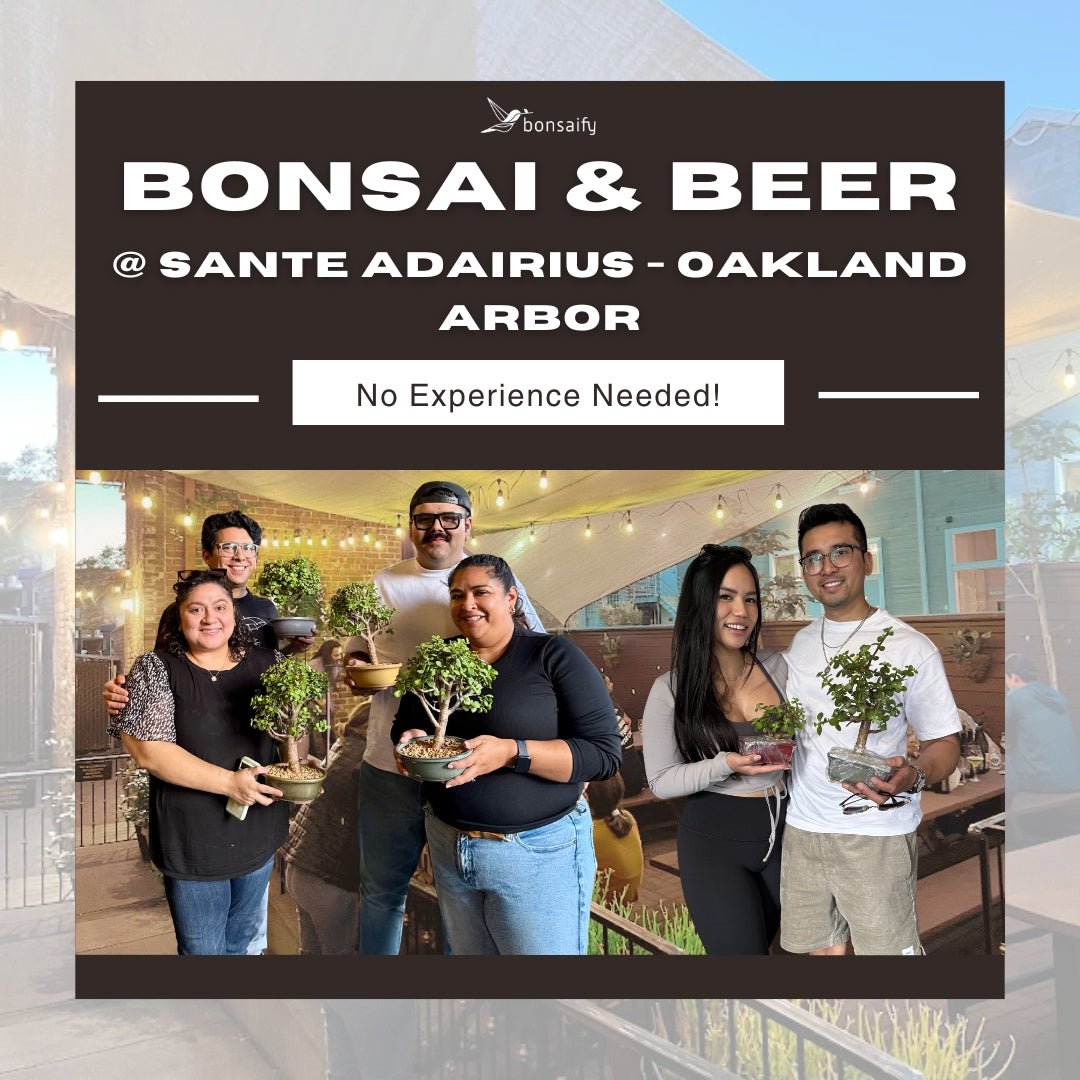 Bonsaify