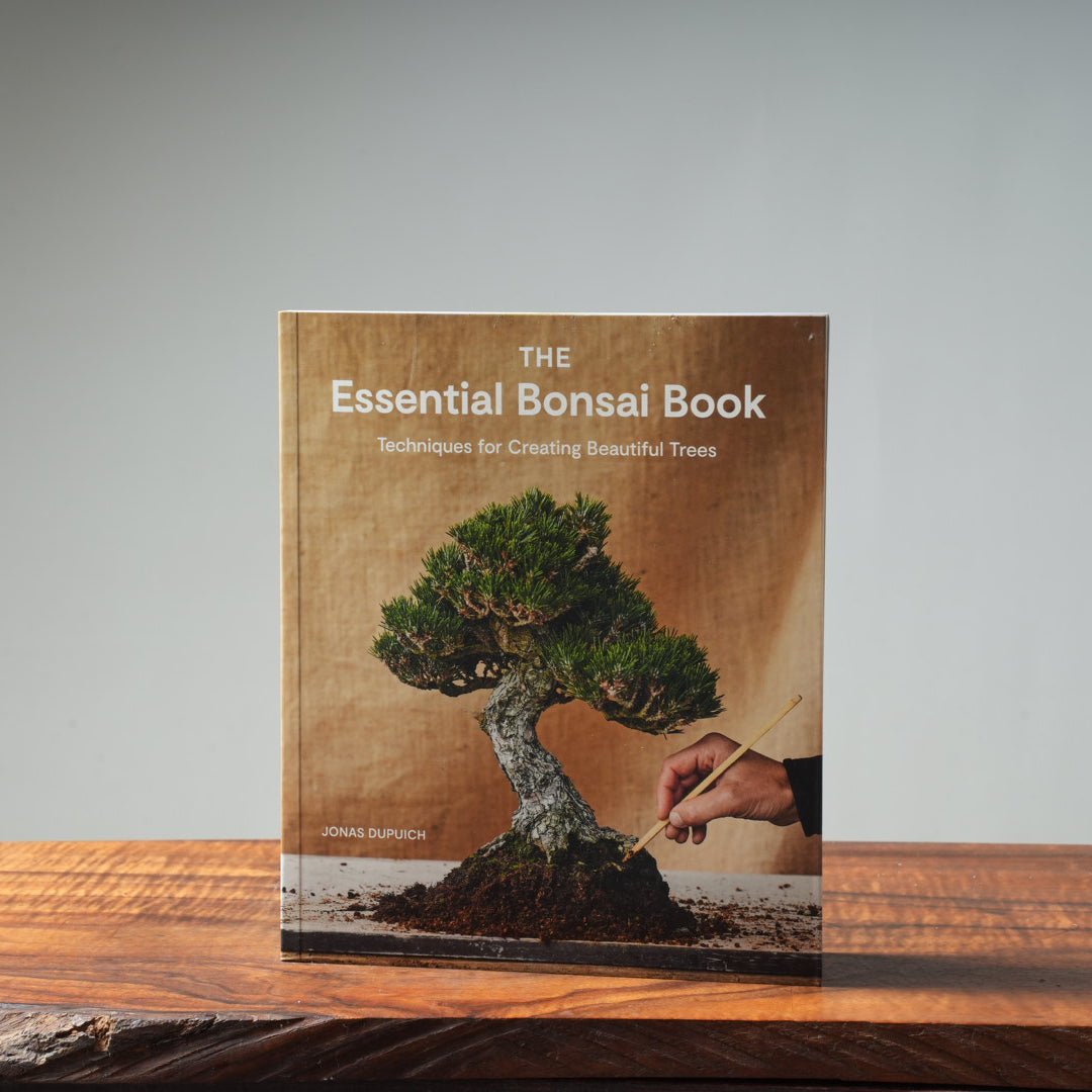 bonsai buch The Essential Bonsai Book By Jonas Dupuich