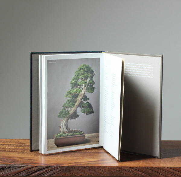 inside Photo of Little Book of Bonsai