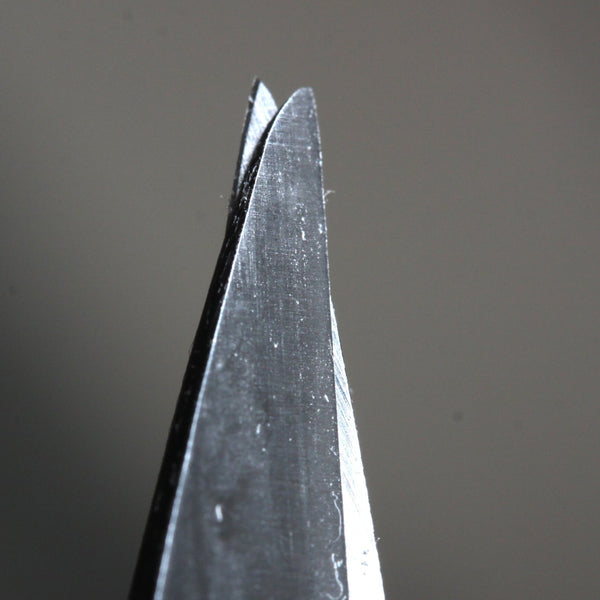 Basic Bonsai Scissors - Bonsaify