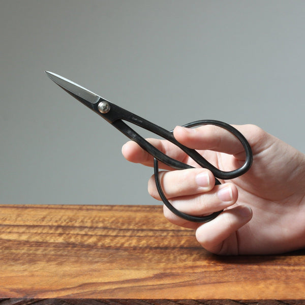 Basic Bonsai Scissors - Bonsaify