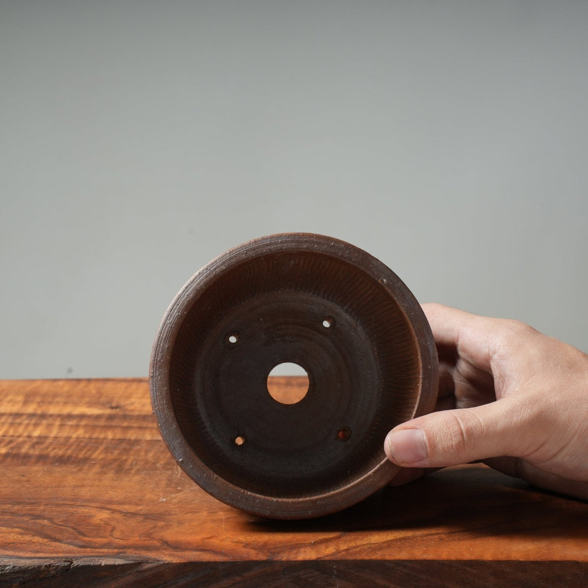 Bonsaify | Mitunobu Ito Ash-Tinged Rope Motif Round Medium