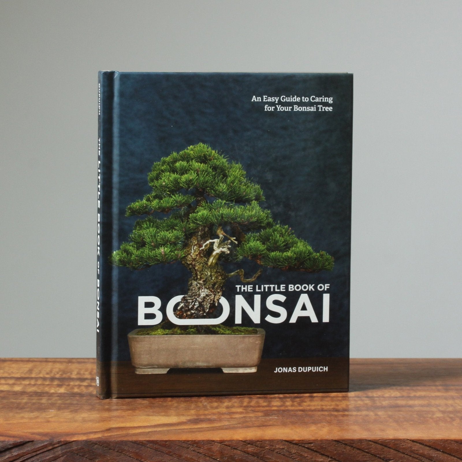 bonsai tree books for beginners Bonsaify