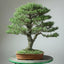 Four Key Elements of Prepping Bonsai Trees for Display - Bonsaify