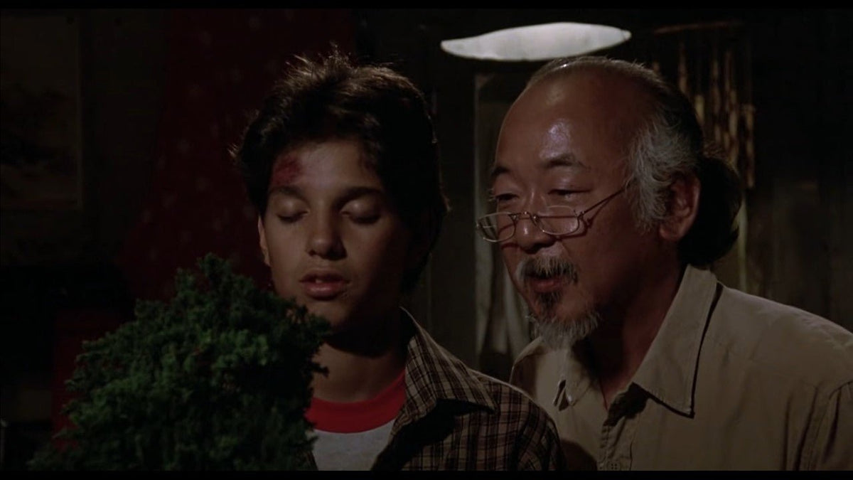 Bonsaify Four Things The Karate Kid Got Right About Bonsai