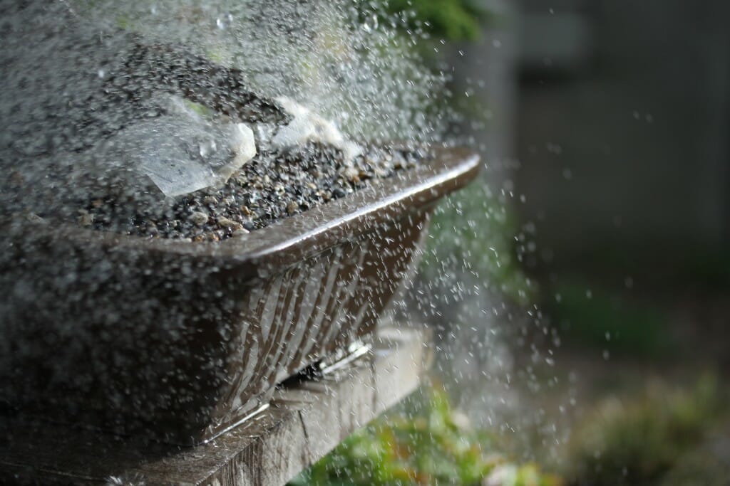 How to Mindfully Water Bonsai and Maintain Soil Moisture