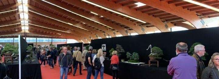 To Saulieu, France and Back - 2019 Bonsai-San Show