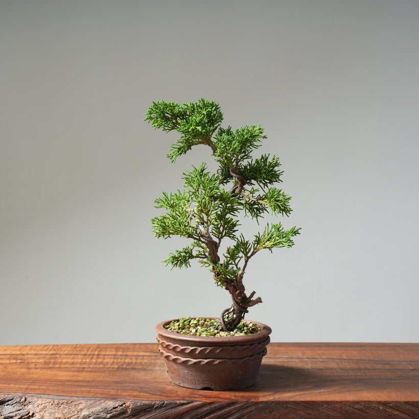 Newly Available