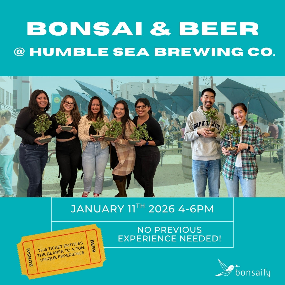 Bonsai Classes at Humble Sea Alameda