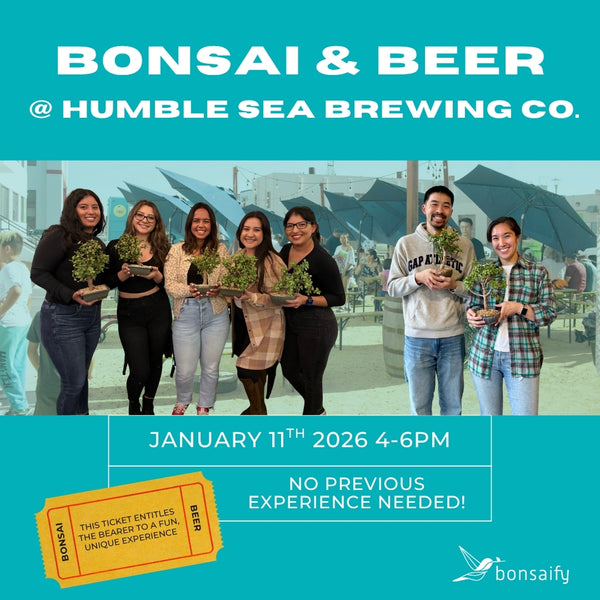Bonsai Classes at Humble Sea Alameda