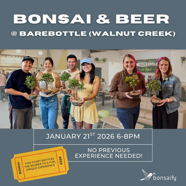 Bonsai Classes at Barebottle Brewing Co. (Walnut Creek)