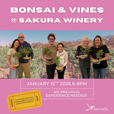 Bonsai Classes at Sakura Winery Tasting Room
