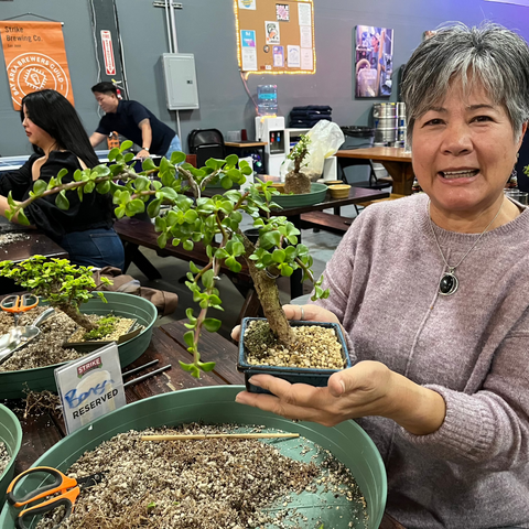 Bonsai Class at Strike Brewing Company