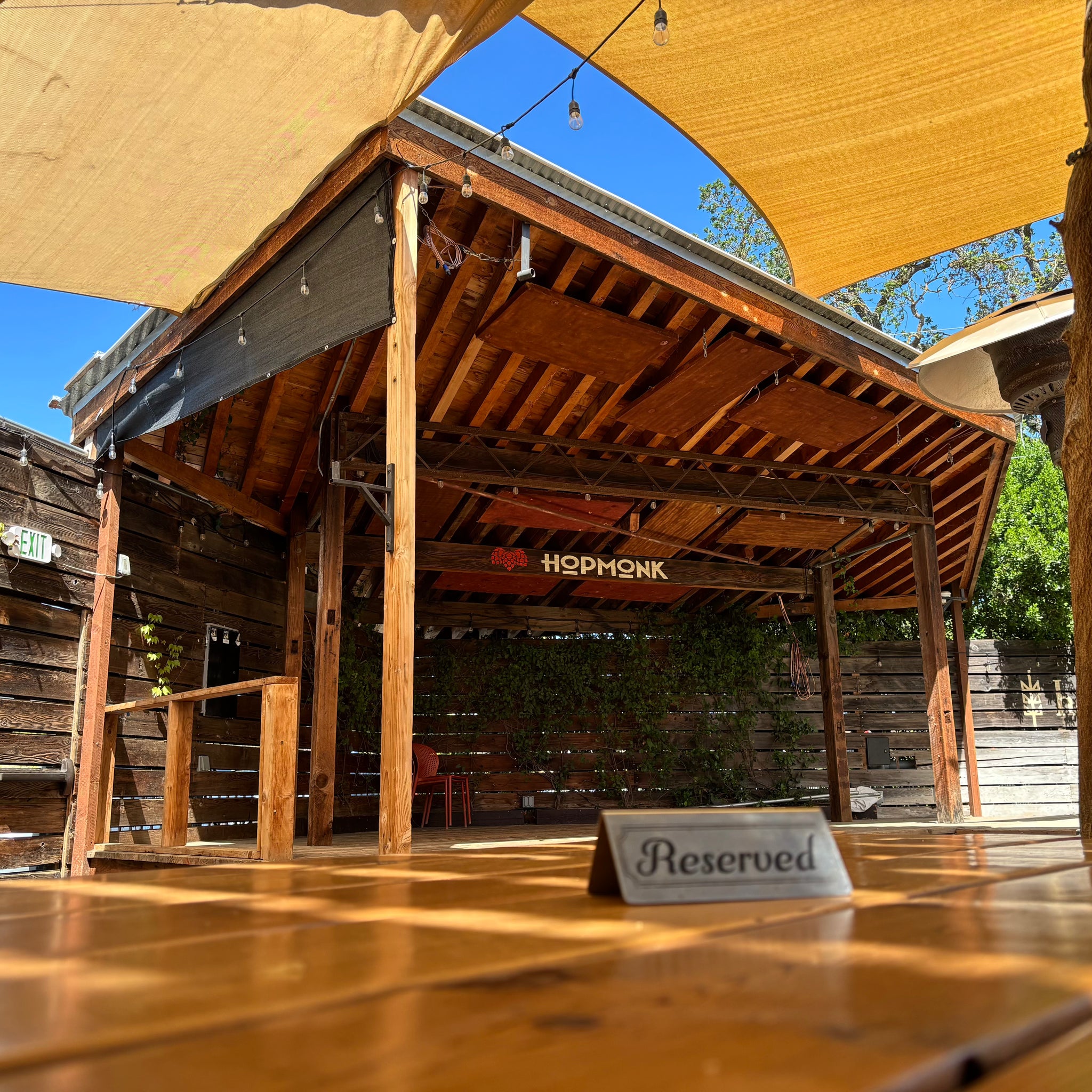 Bonsai Classes at HopMonk Novato