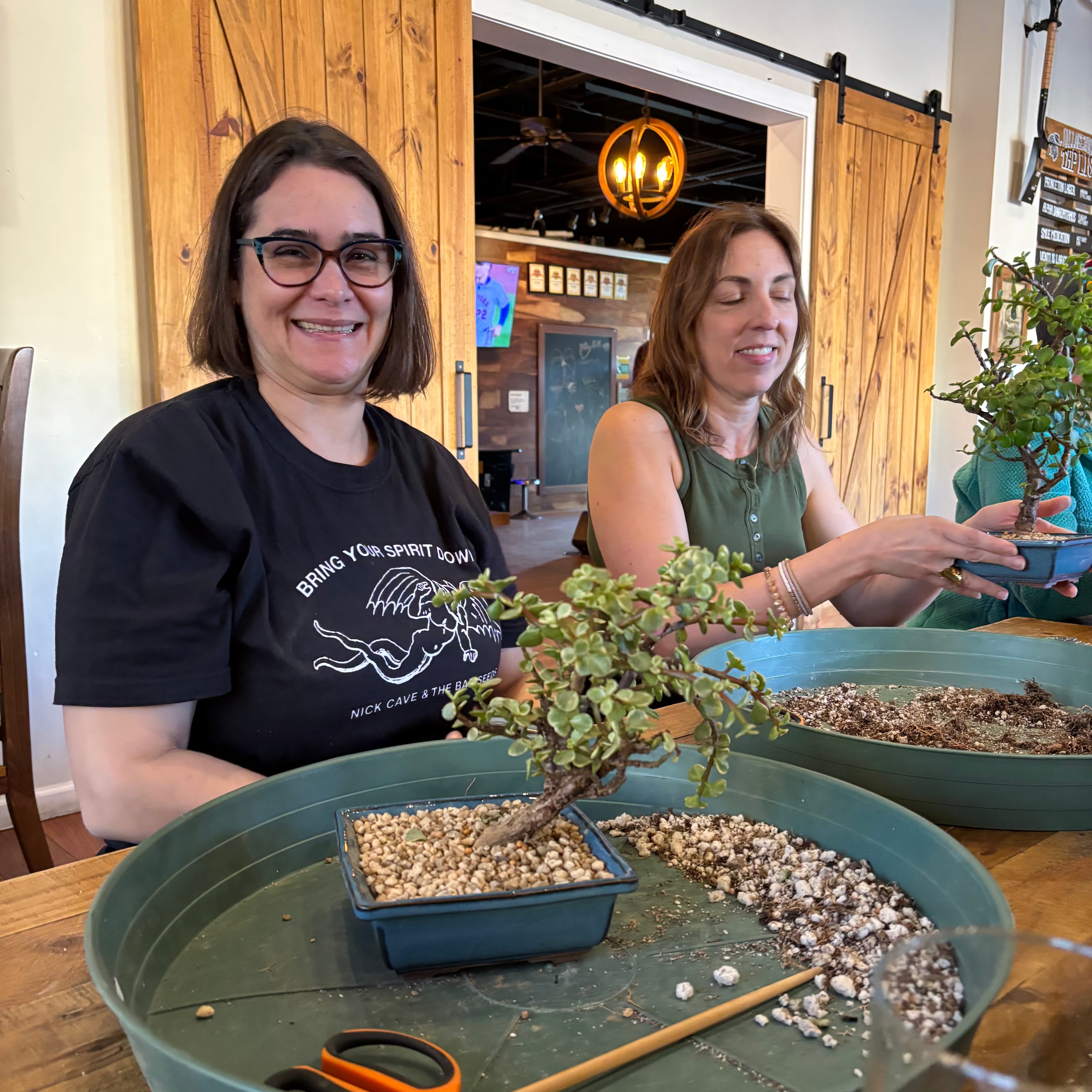 bonsai tree brewery Bonsaify
