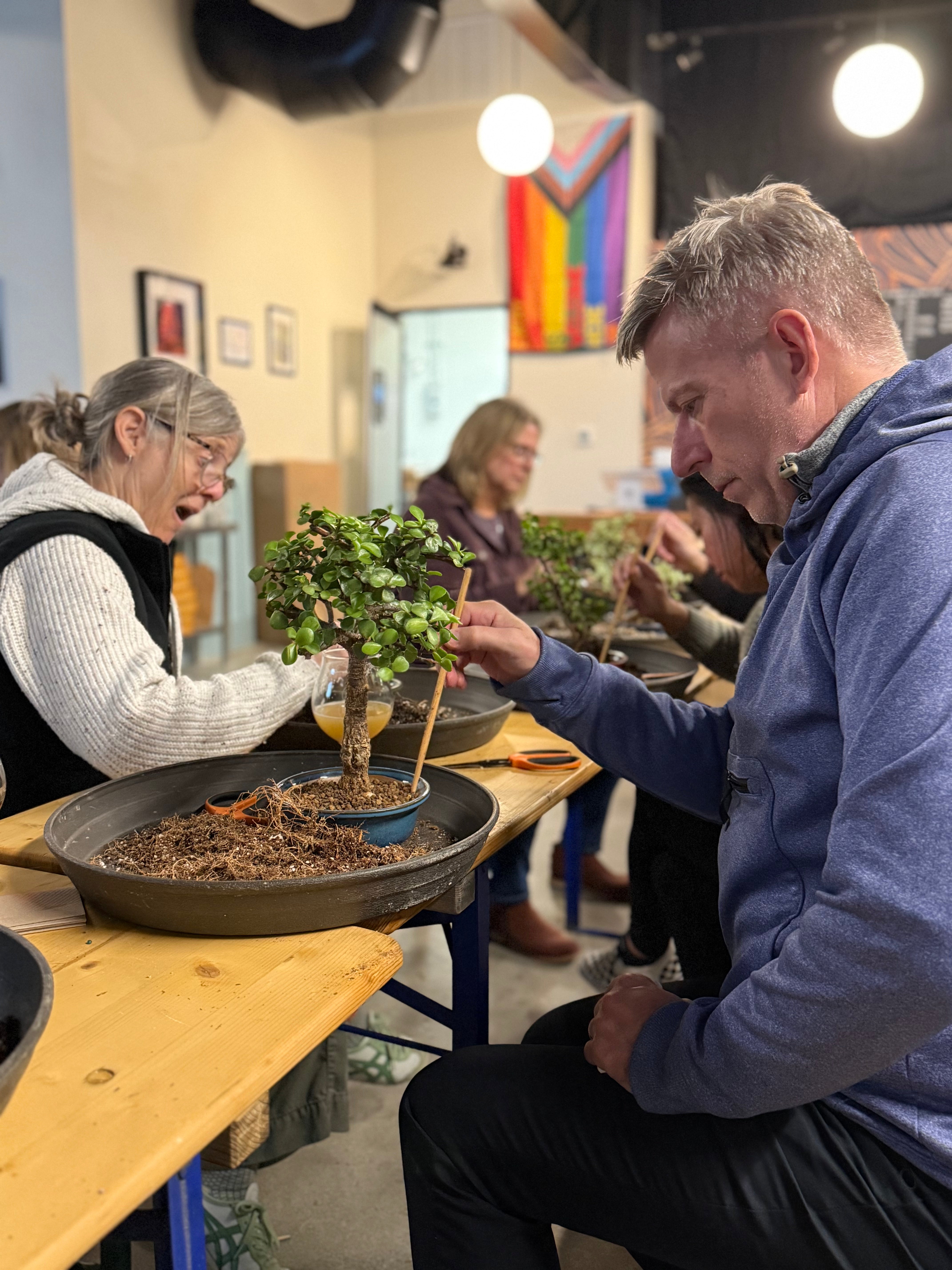 bonsai tree berkeley Bonsai Classes at Barebottle Brewing Co. (Walnut Creek) – Bonsaify