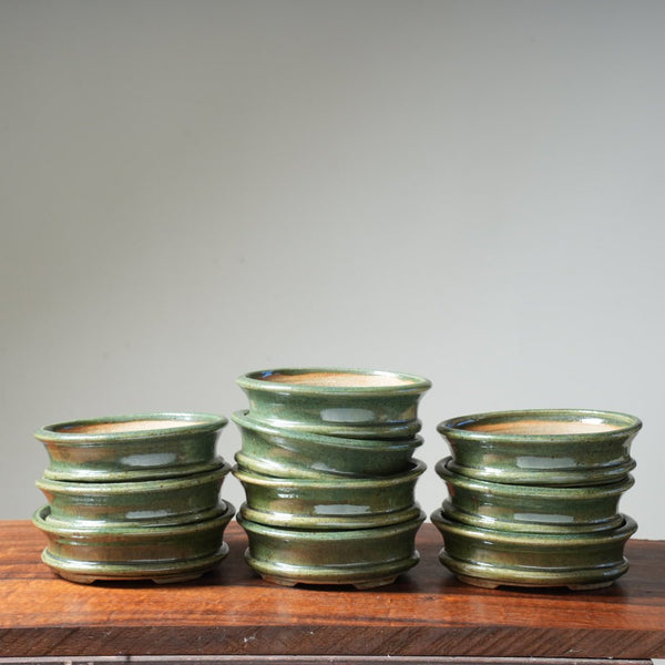 Arakawa 6" Moss - Glazed Medium Oval Bonsai Pot - Bonsaify
