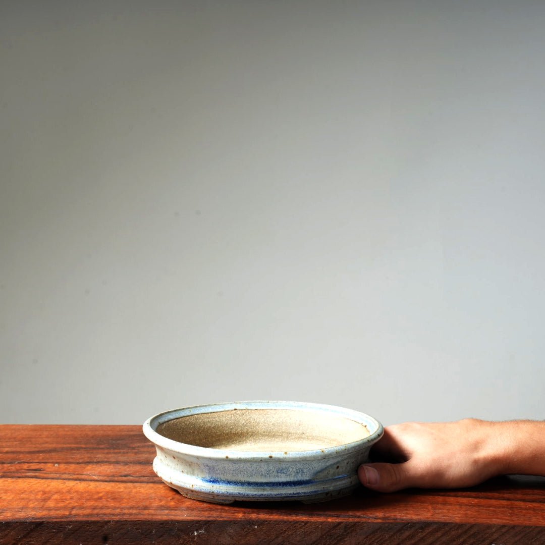 ボタニカルラボページ Bonsaify |Arakawa 8