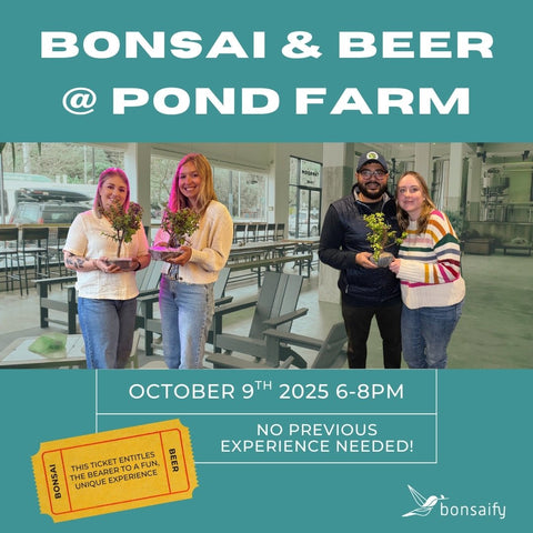 Bonsai Class at Pond Farm Brewing Co. - Bonsaify