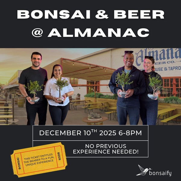 Bonsai Classes at Almanac Adventureland & Brewery - Bonsaify