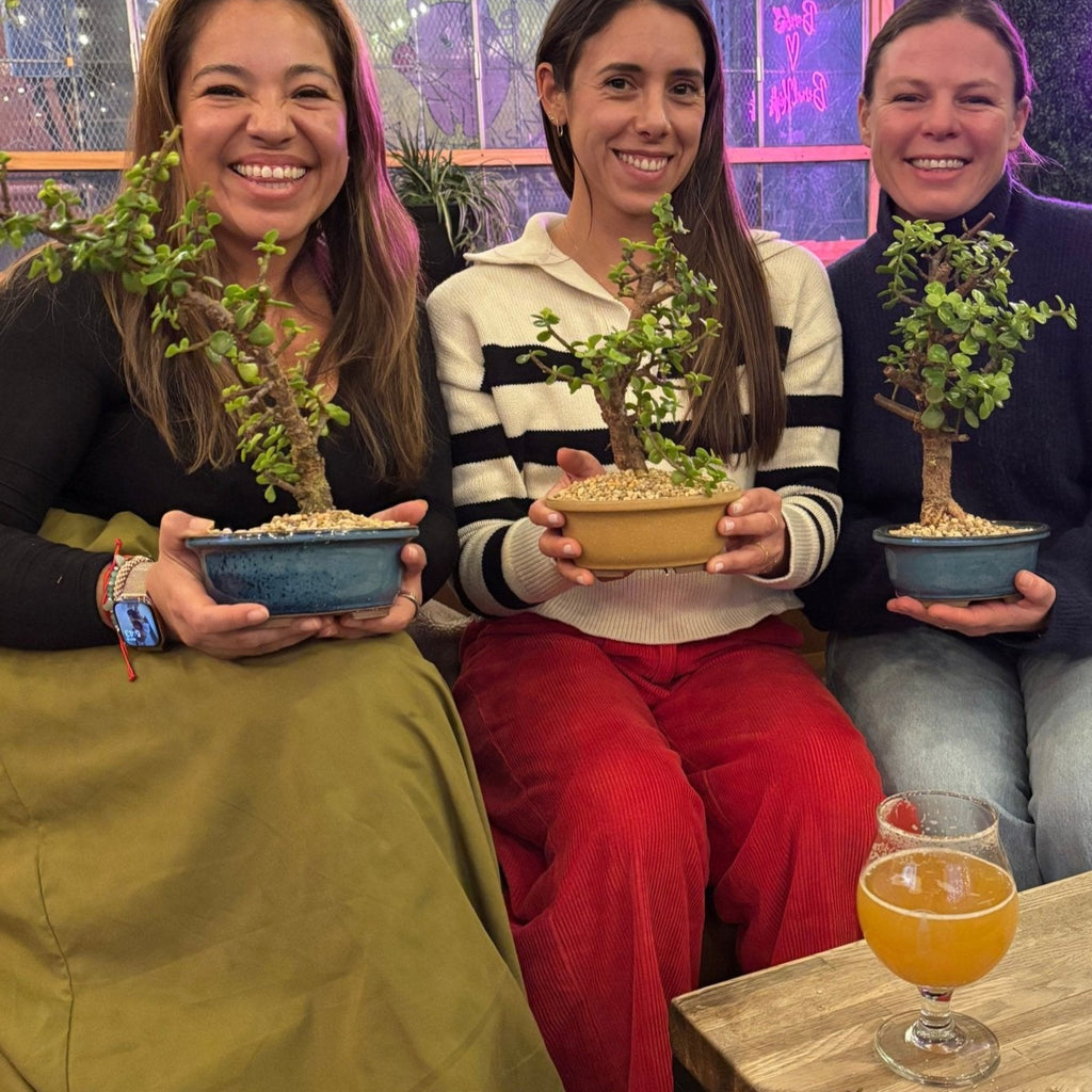 Bonsai Classes at Barebottle Brewing Co. - Bonsaify