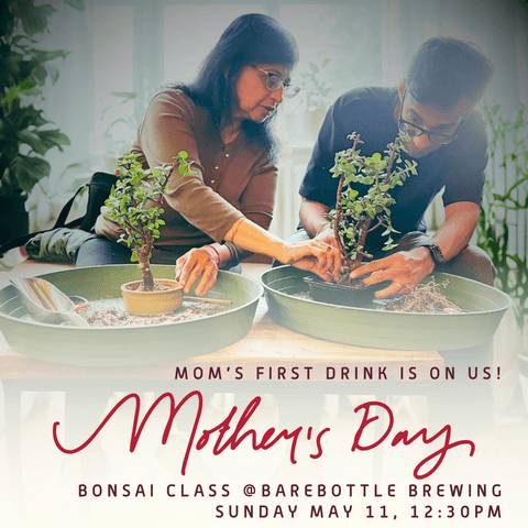 Bonsai Classes at Barebottle Brewing Co. - Bonsaify