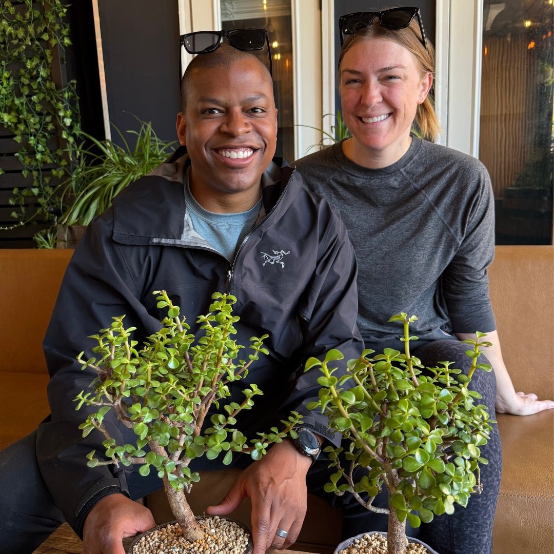 bonsai tree brewery Bonsai Classes at Barebottle Brewing Co. (Walnut Creek)