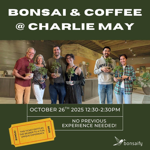 Bonsai Classes at Charlie May Coffee and Tea - Bonsaify