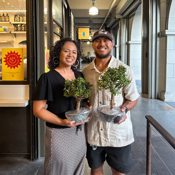 Bonsai Classes at Charlie May Coffee and Tea - Bonsaify