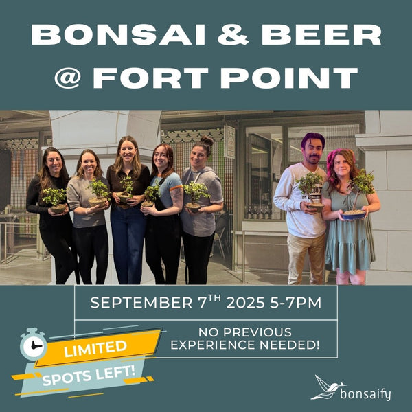 Bonsai Classes at Fort Point Beer Co. - Bonsaify