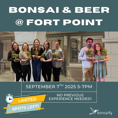 Bonsai Classes at Fort Point Beer Co. - Bonsaify