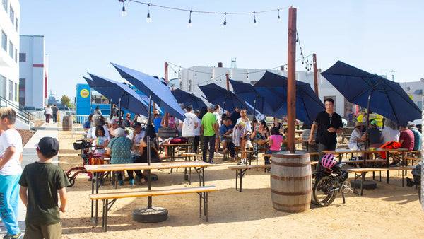 Bonsai Classes at Humble Sea Alameda - Bonsaify