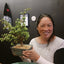 Bonsai Classes at Olfactory Brewing, Berkeley - Bonsaify