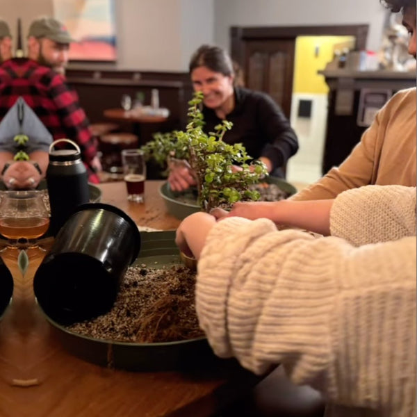 Bonsai Classes at Sante Adairius Oakland Arbor - Bonsaify
