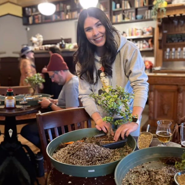 Bonsai Classes at Sante Adairius Oakland Arbor - Bonsaify