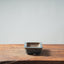 Bonsaify Blue Anemone Pot 06 - Bonsaify