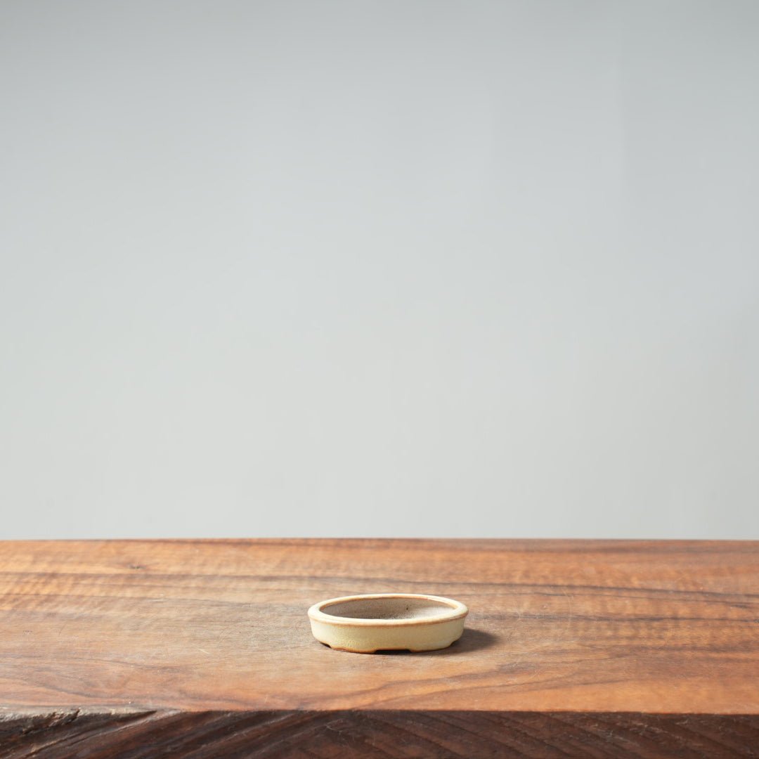 Bonsaify | Bonsaify Mini Yellow Salt Pot #57
