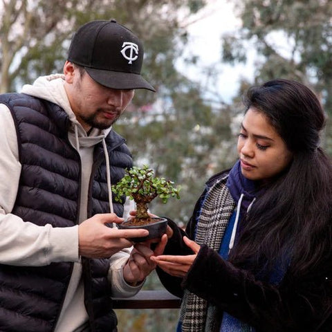 Bring - Your - Own Tree Group Workshop - Bonsaify