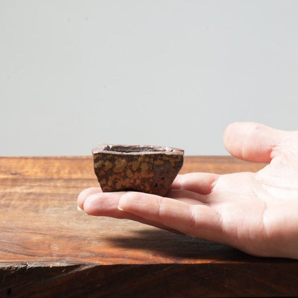 Eric Schrader Ash - Splashed Mini Pot 06 - Bonsaify