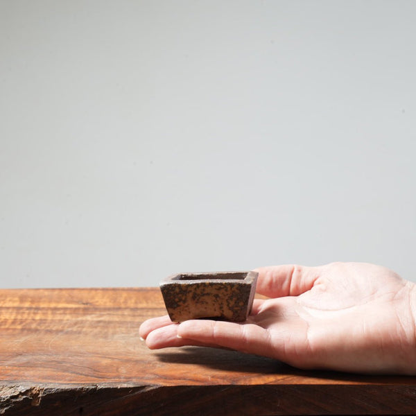Eric Schrader Ash - Splashed Mini Pot #17 - Bonsaify