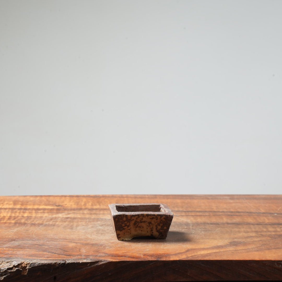 Eric Schrader Ash - Splashed Mini Pot #17 - Bonsaify