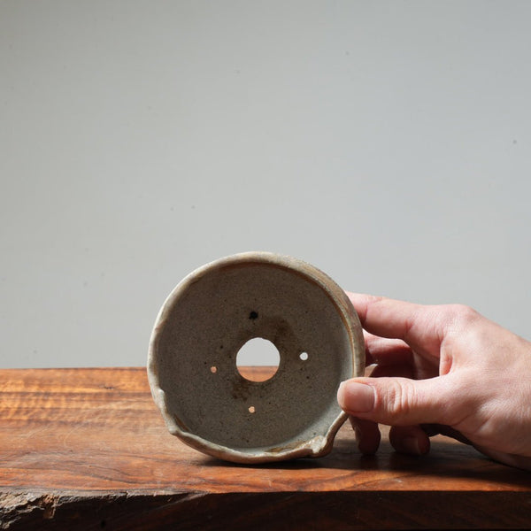 Eric Schrader Ash - Splashed Round Pot #31 - Bonsaify